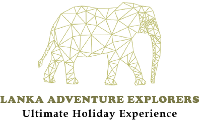 Lanka Adventure Explorers