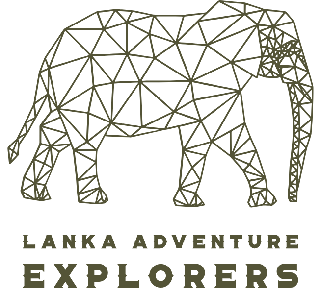 Lanka Adventure Explorers